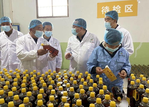 天津市甘肃商会赴武山县考察，共探农产品与工艺品产销合作新机遇